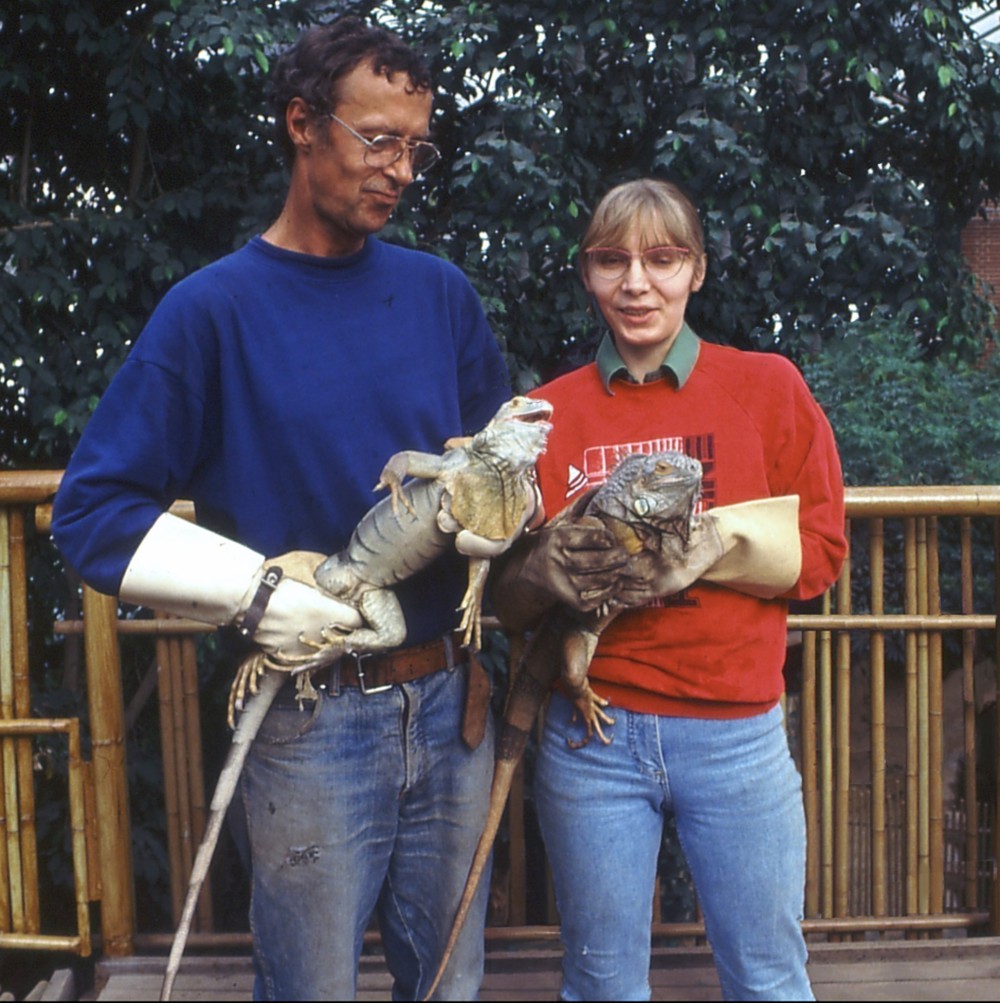 Klaus dedekind & Steffi Igel mit Grünen Leguanen (1993)